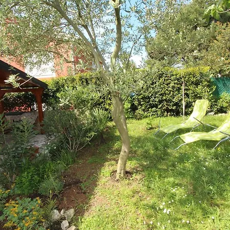 Monpeloso Apartmán *